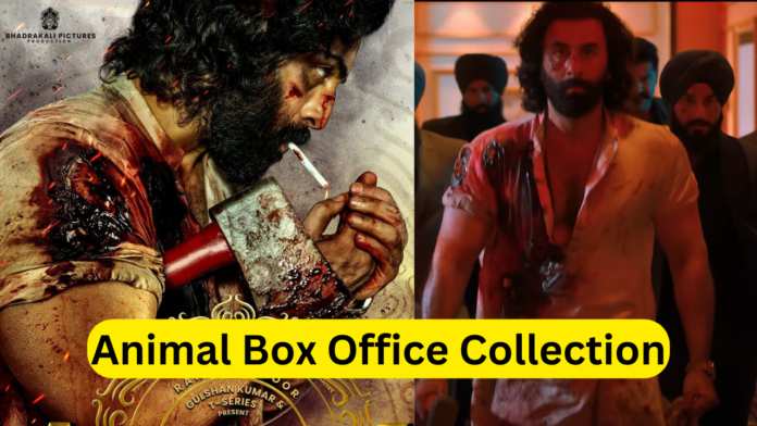 Animal Box Office Collection